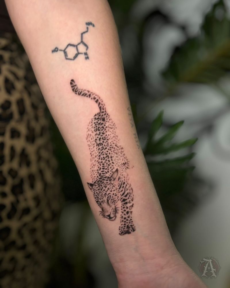 Tatuaje de oso durmiendo en el brazo, fine line en negro y gris